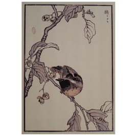 Kono Bairei, Vogel auf Blütenzweig KB20