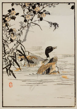 Enten nach einem Motiv von Kono Bairei (1844 –1895) KB13