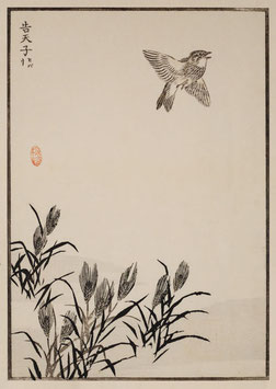 Auffliegender Vogel nach einem Motiv von Kono Bairei (1844 –1895) KB02