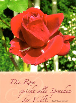 Superpreis!! 10 Postkarten Rosenmotive mit berühmten Zitaten