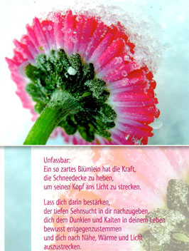 Postkarte GJF: Gänseblümchen im Schnee - Unfassbar