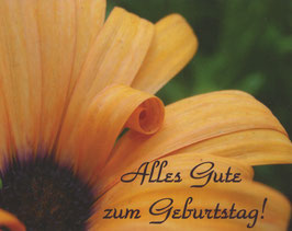 10 x Postkarte: eingerolltes Blütenblatt - Alles Gute zum Geburtstag