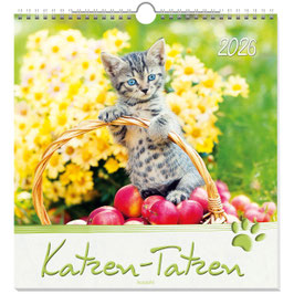 Wandkalender: Katzen-Tatzen 2026