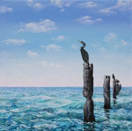 Fishing in the cloud