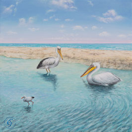 Pelikan "yes we peli-can"