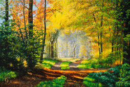 Zauberwald I