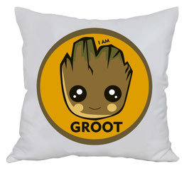 coussin groot