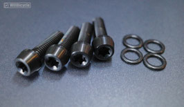 BIKEYOKE TI BOLT FOR BARKEEPER