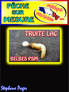 BELBES PSM (POP-UP Lac truite)