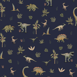 Dinos, Dinosaurier auf dunkelblau - Sommersweat, French Terry