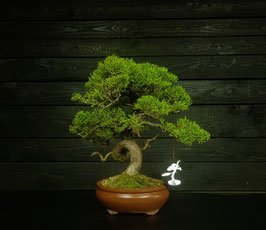 Itoigawa - art.#N54