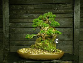 Itoigawa Ishizuki - art.#N64