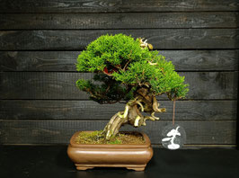 Itoigawa - art.#N6
