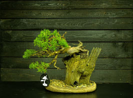 Itoigawa - art.#N75
