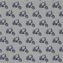 Echino / Ni-Co  / Motorbike / Grey