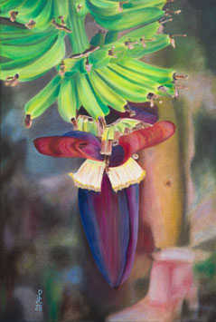 Fine ART Print Bananenherz I