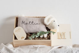 Die kleinen Freunde | Kuschelhund | beige (hellgrau) mit Namen + Erinnerungsbox aus Holz