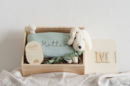 Die kleinen Freunde | Kuschelhund | mint mit Namen + Erinnerungsbox aus Holz