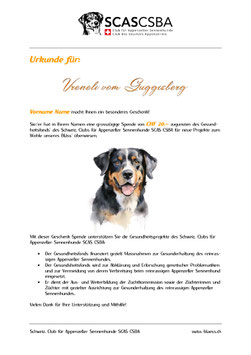 Spenden-Gutschein "Prinz"