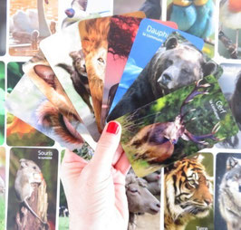 Oracle des animaux