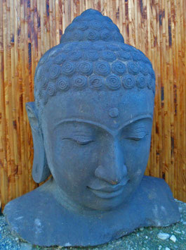 Buddha-Büste - H: 70 cm