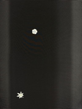絽小紋黒地夏草散らし