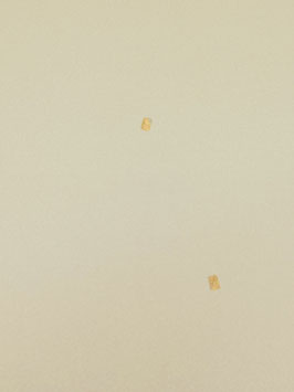 小紋一越ﾍﾞｰｼﾞｭ金泥色紙飛び