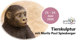 WS-Spiesberger_1-2026