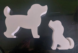zwei süsse Hunde