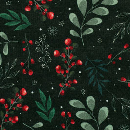 Sweat Holly Ilex/Blätter