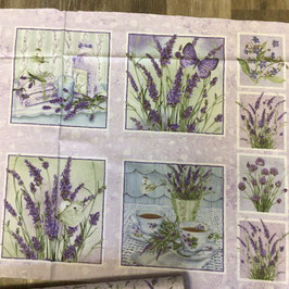 PW-Panel  Lavendel-Bilder