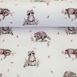 Jersey " Life in the forest " Waschbär