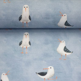 Jersey Möwen hellblau-grau