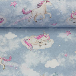 Jersey "Miracle" Einhorn / Wolken