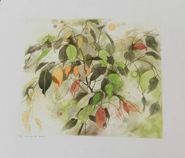 Anne Walker - among the leaves