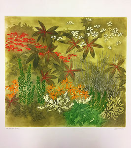 Anne Walker - mixed border