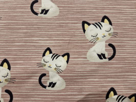 Jersey Katzen