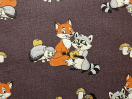 Fuchs, Waschbär und Igel