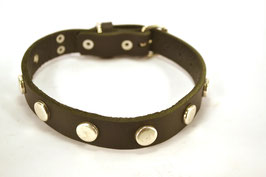 Hundehalsband Button 2,4 schwarz  Leder Bolleband