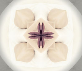 "Macadamia cheesecake"