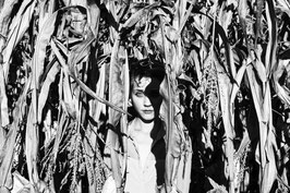 "The shadow of Dora Maar"