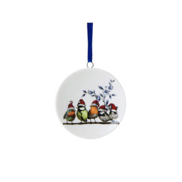 Christmas ornament wall plate birds with Santa hat