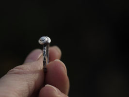 Schneckenhäuschen Ring aus Sterlingsilber, Grösse 57, Nr. 1495