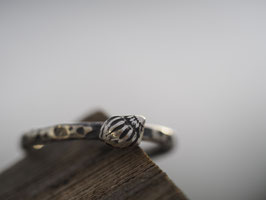 Winzige Muschel-Spirale-Ring aus Sterlingsilber, Nr. 1507, Grösse 56,5