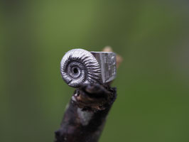 Ammonit (Versteinerung) Ring in Silber mit einer kleinen Waldwelt versteckt auf den Seiten aus Sterlingsilber Nr. 1510