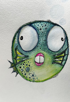 Kugelfisch mit grossen Augen