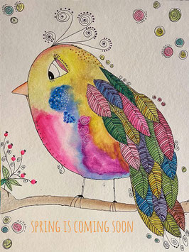 Summer Birdy – Ein Hauch von Frühling das ganze Jahr
