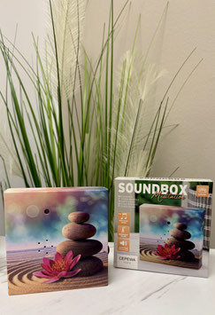 Soundbox mit Bewegungsmelder