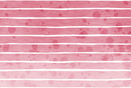 (Jersey) RabaukenStreifen "pink"
