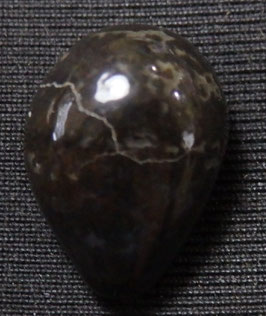 clam pearl Atrina vexillum   black  pearl 13.4mm